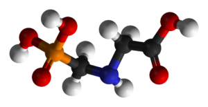 molecola glifosato (Glyphosate-3D-balls)