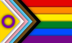 Disforia di genere, bandiera LGBT